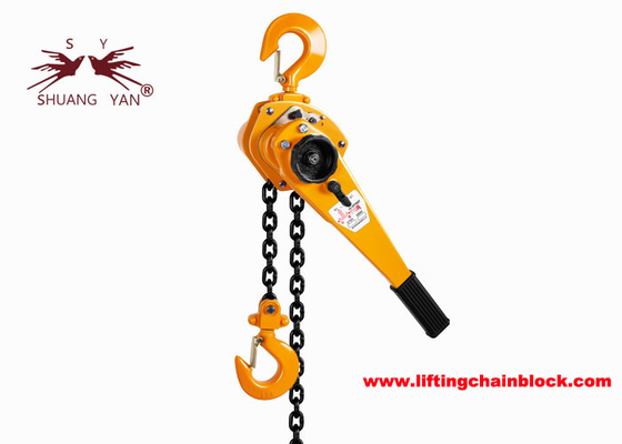 수동 리프트 속도 레버 체인 호이스트 (상단 및 하단 후크 및 폴리시 체인 색상 포함)